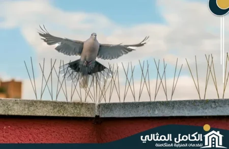 شركة تركيب طارد الحمام بالقطيف