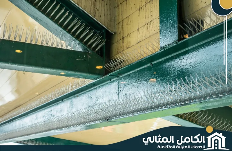 Qatif Pigeon repellent from windows Qatif Pigeon repellent from windows