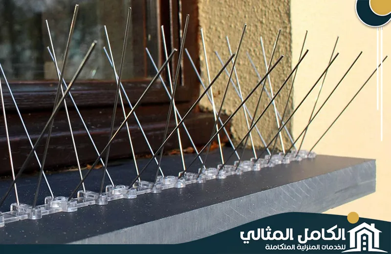 Qatif Pigeon repellent price Qatif Pigeon repellent price